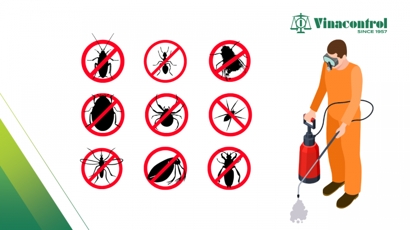 khi_nao_can_hun_khu_trung_800