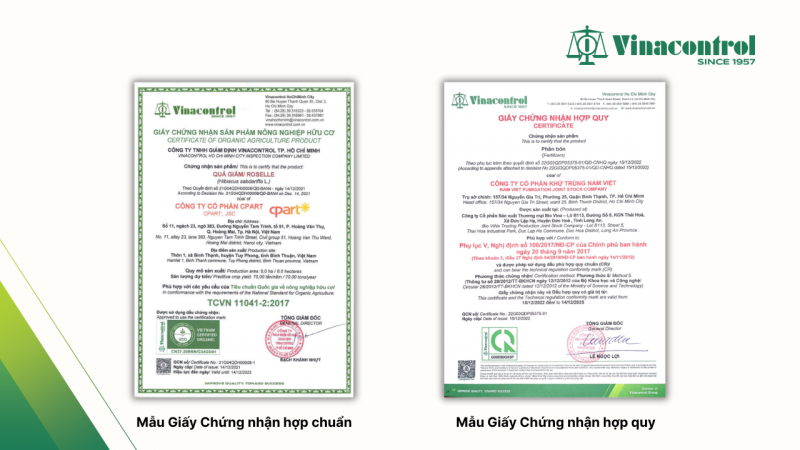 mau_giay_chung_nhan_su_phu_hop_800