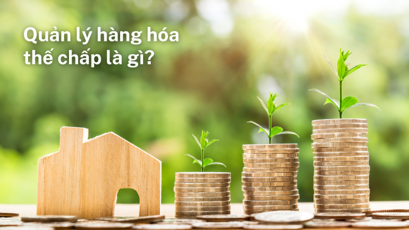 quan_ly_hang_the_chap_la_gi_800