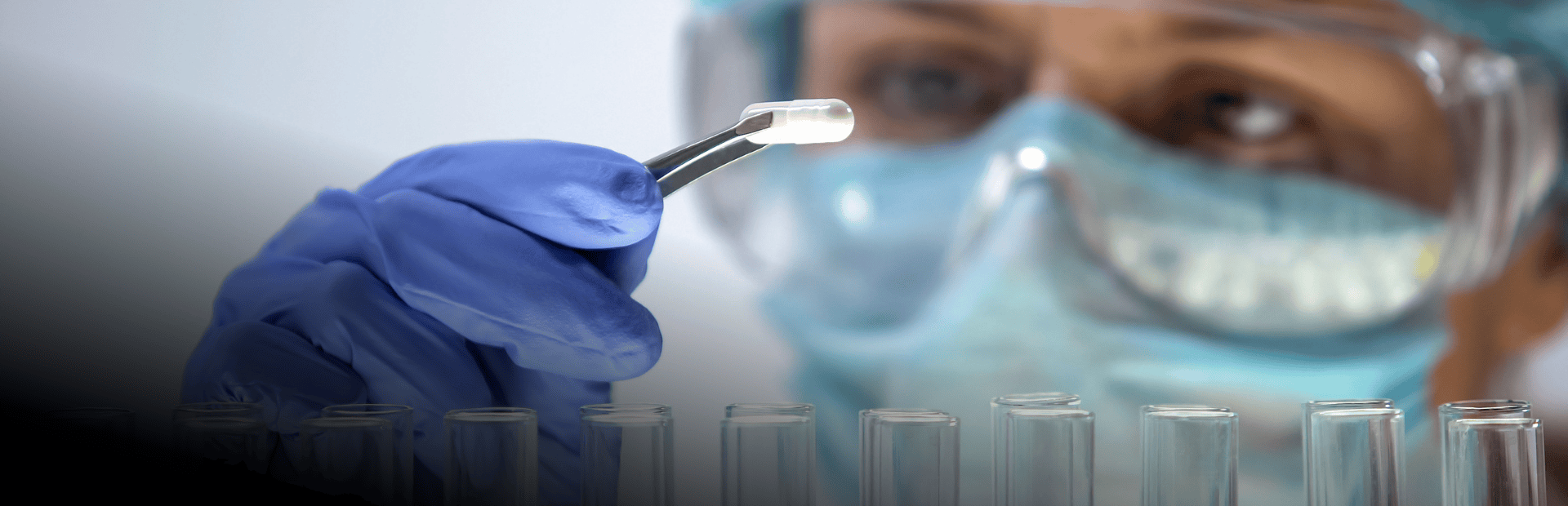 Nghiên Cứu Phát Triển