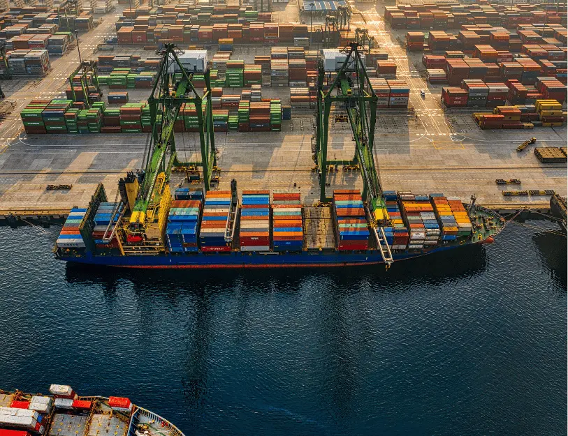 Giám Định Hàng Hải