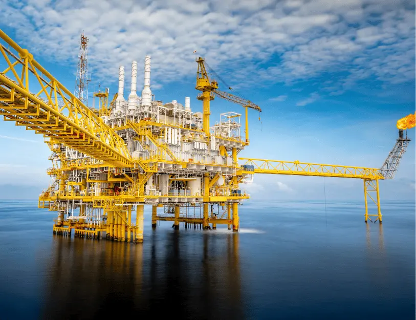 Giám định nguyên, nhiên liệu