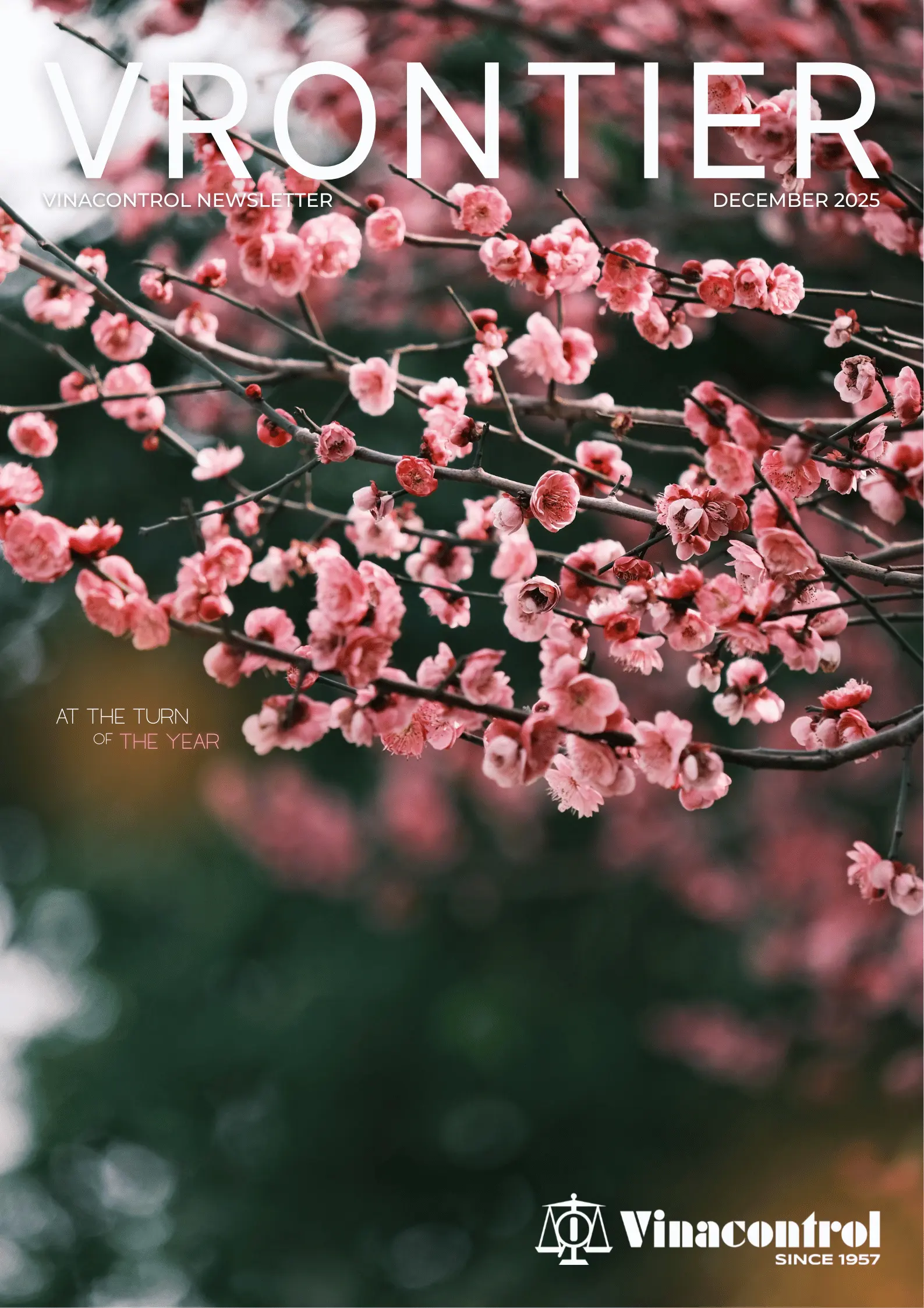 VRONTIER DECEMBER 2025